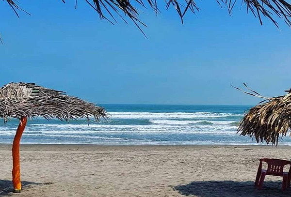 Tecolutla Express + Transporte + Seguro