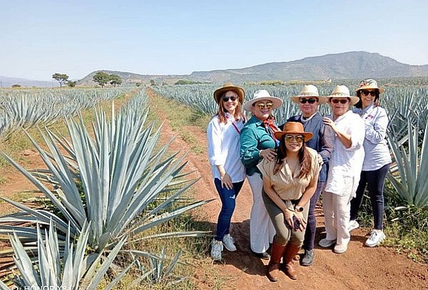 Tour Tequila + Transporte + Seguro de Viajero
