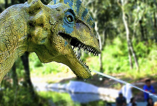 Boleto General a Bioparque el Safari más Grande de México