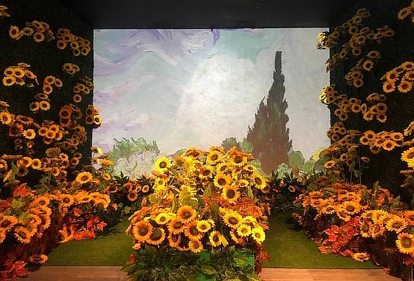 Acceso a Van Gogh Dreams en Centro Historico