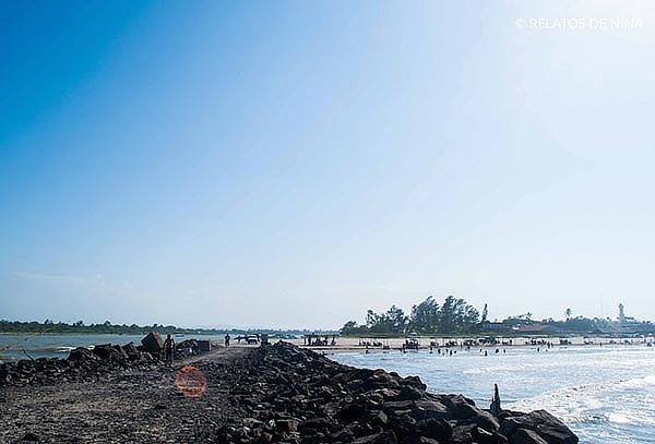 TECOLUTLA: Puente de Marzo 2D/1N Manglares, Tortugas & más 