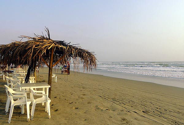 TECOLUTLA: Puente de Marzo 2D/1N Manglares, Tortugas & más 