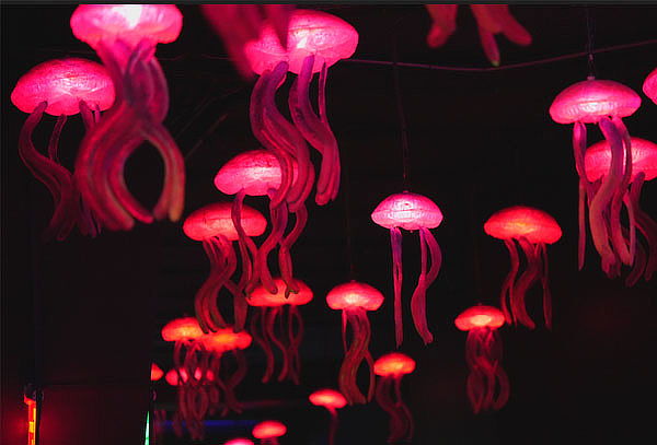 Acuario Interactivo Inbursa + Fila Preferencial + Expo