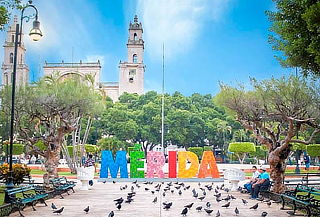 Mérida y sus atracciones 5D/4N Avión, hotel, impuestos y más