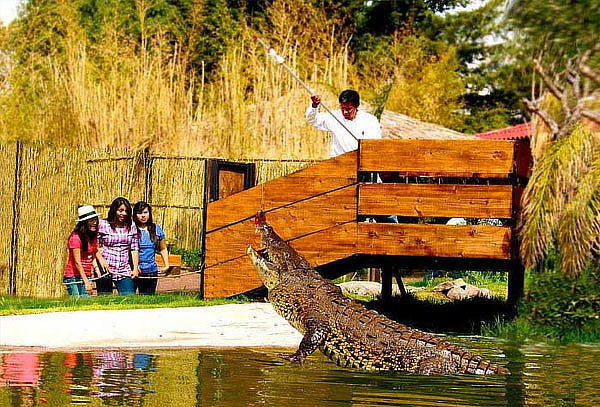 Acceso a REINO ANIMAL, Parque Temático en Teotihuacan