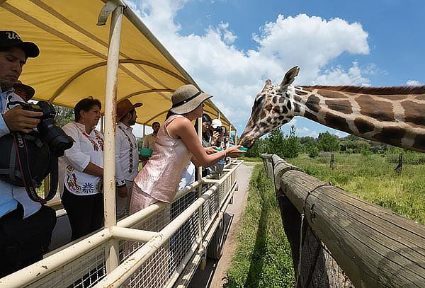 Acceso a REINO ANIMAL, Parque Temático en Teotihuacan