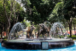 Coyoacan + Xochimilco+ Cultura + Trajinera 