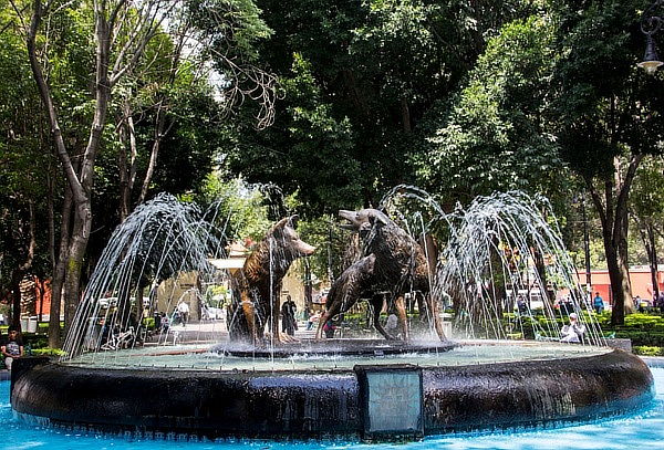 Coyoacan + Xochimilco+ Cultura + Trajinera 