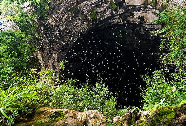 Huasteca Potosina 3D/2N + Xilitla ¡Marzo 13!