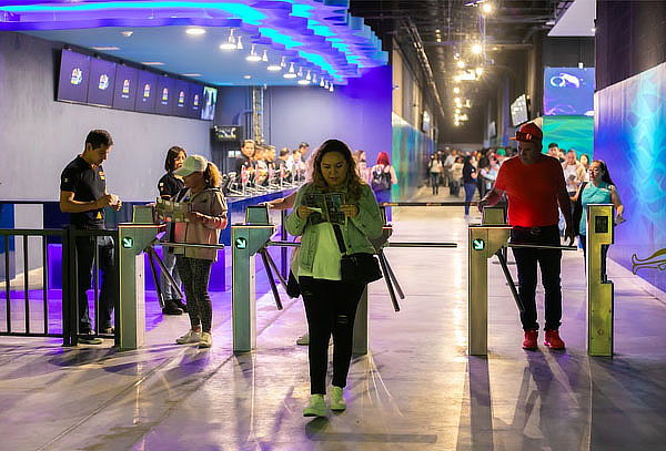 Acceso General a Acuario Michin ¡Maravillas del mar en CDMX!