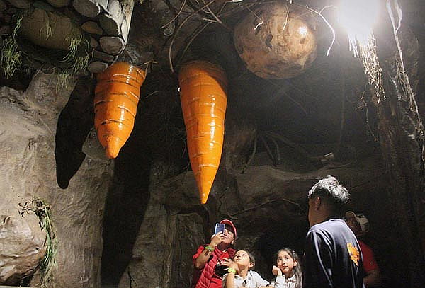 Acceso general a Granja Las Américas + Reptiles 