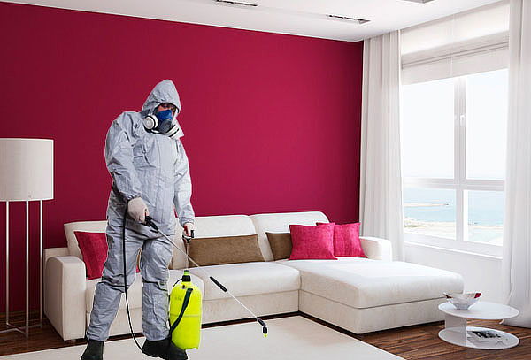 Fumigación ¡Deshazte de esa molesta plaga!