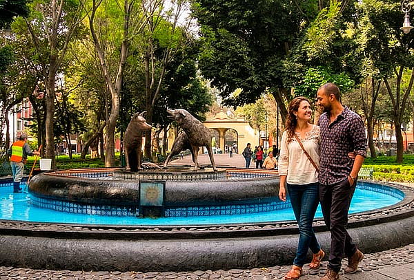 Coyoacán + Xochimilco ¡Salidas Diarias! 