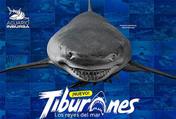 Acuario Interactivo Inbursa + Fila Preferencial + Expo