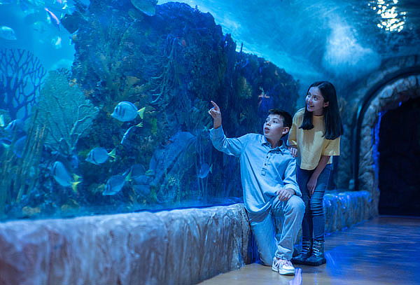 Acuario Interactivo Inbursa + Fila Preferencial + Expo