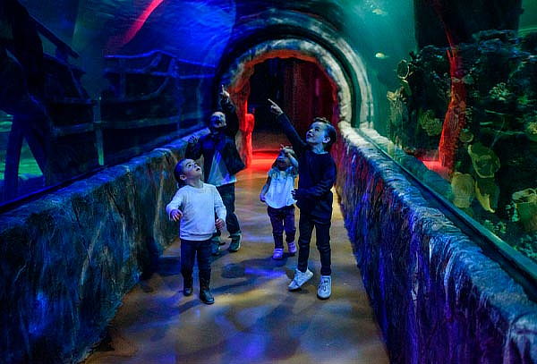 Acuario Interactivo Inbursa + Fila Preferencial + Expo