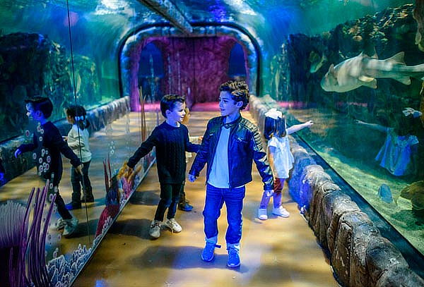 Acuario Interactivo Inbursa + Fila Preferencial + Expo