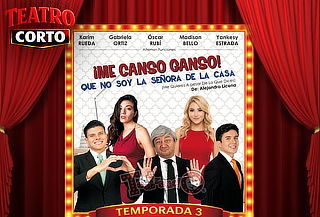 Acceso a ¡Me Canso Ganso! Que No Soy La Señora De La Casa