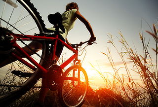 Teotihuacán Bici o Cuatrimoto + Comida y Temazcal para 2