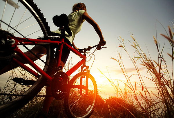 Teotihuacán Bici o Cuatrimoto + Comida y Temazcal para 2
