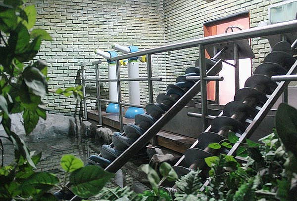 Acceso general a Granja Las Américas + Reptiles 