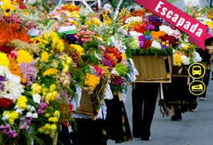 Feria de las Flores, Huauchinango: Autobús + Entradas, 1día