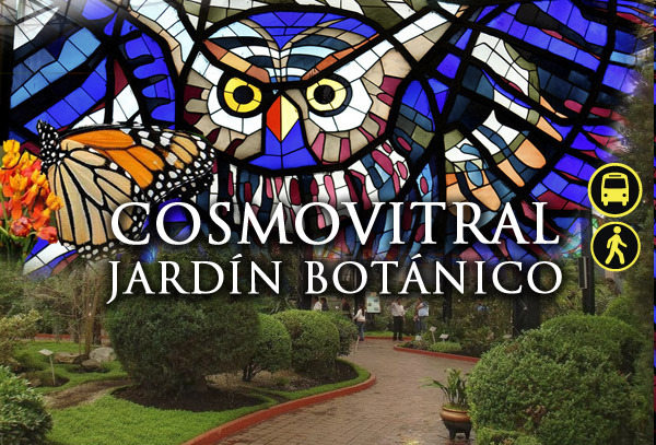 Cosmovitral Jardín Botánico y Mariposa Monarca ¡Para tí!