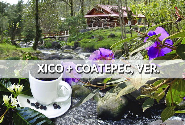 Xico, Coatepec, Cascadas ¡Disfruta el sabor de este destino!
