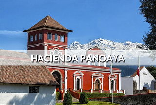 Parque Hacienda Panoaya ¡Disfruta su Laberinto!