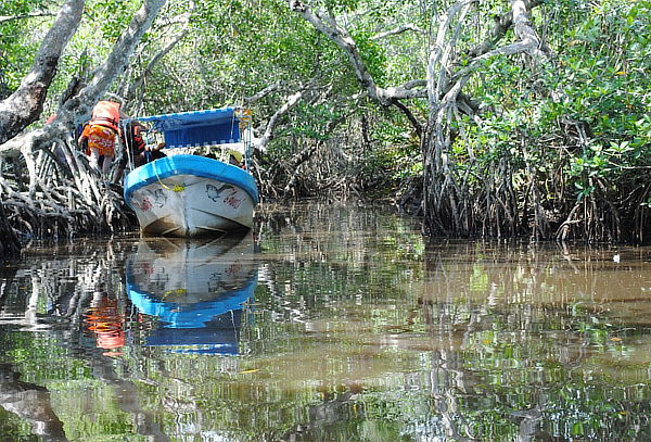 TECOLUTLA,  Manglares y Playas + Tour Vainilla