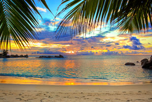 Playa del Carmen 6D/5N, Plan Todo Incluido 5*  83%