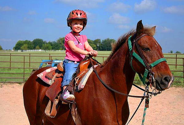4, 8 o 16 clases de equitación en Escuela Domecq