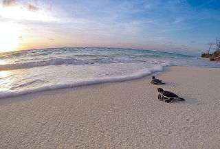 TECOLUTLA, Veracruz Hotel + transporte 2D/1N