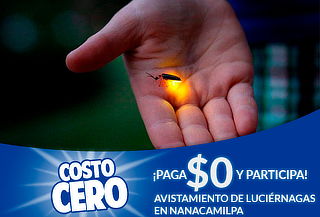 Participa sorteo costo $0 viaje doble para ver Luciérnagas
