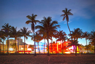 Miami 4 noches Hotel Hampton Inn 50%