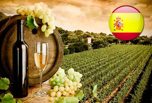 Ruta del Vino en España 8 maravillosos días  50%