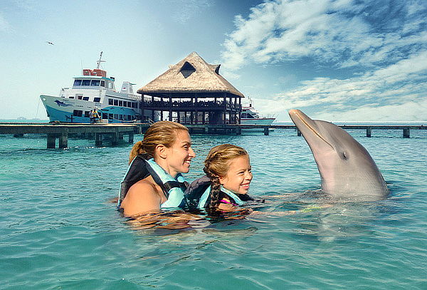 Encuentro con Delfines + Royal Garrafón en Isla Mujeres 