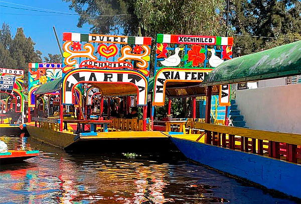 Ruta Sur: Coyoacán + Xochimilco + CU con | Cuponatic