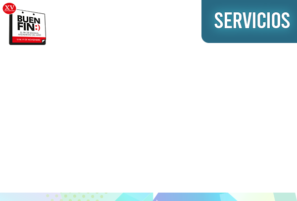 Servicios Buen Fin 25