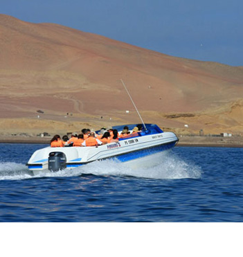 Paracas + Hotel 50% Paga desde S/. 199 en vez de S/. 398 por 2 días/1 noche de alojamiento en Paracas (hostal a elegir) + Tour Islas Ballestas y Reserva Nacional de Paracas 