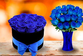 6,12, 24 Rosas Azules en Caja, Ramo, Box o Florero