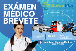 Examen Medico Para Brevete, Categorías a Elegir