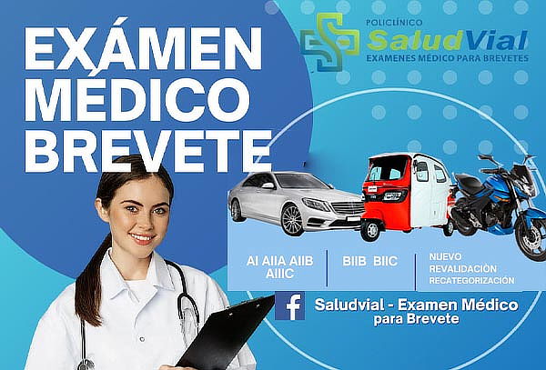 Examen Medico Para Brevete, Categorías a Elegir