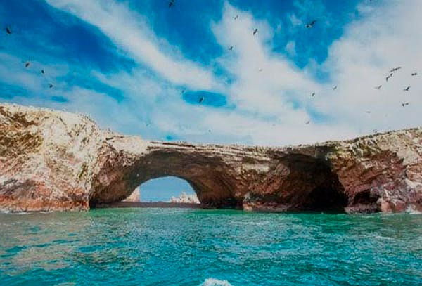 Full Day: Paracas +Islas Ballestas + Ica  + Buguies  y Más