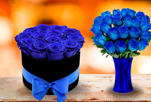 6, 12, 24 Rosas Azules en Caja, Ramo, Box o Florero