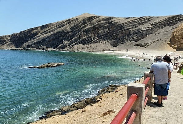 Full Day: Paracas + Visita Viñedos + Islas Ballestas en Ica 