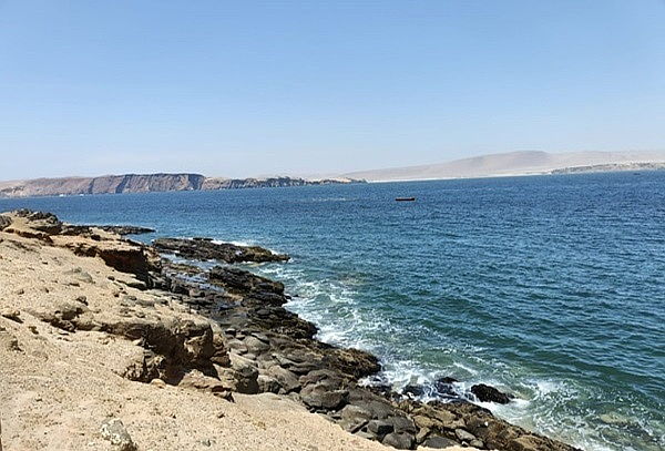 Full Day: Paracas + Visita Viñedos + Islas Ballestas en Ica 