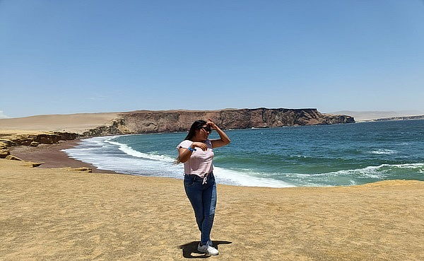 Full Day: Paracas + Visita Viñedos + Islas Ballestas en Ica 