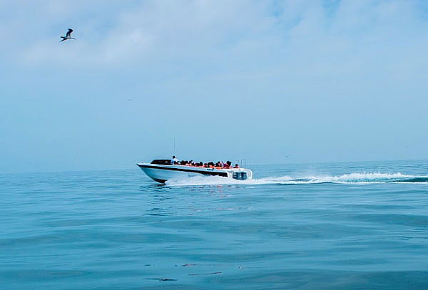 Full Day Paracas + Ica, Islas Ballestas, Areneros y Más