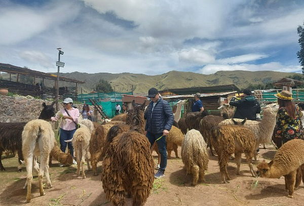 Tour en la Ciudad CUSCO